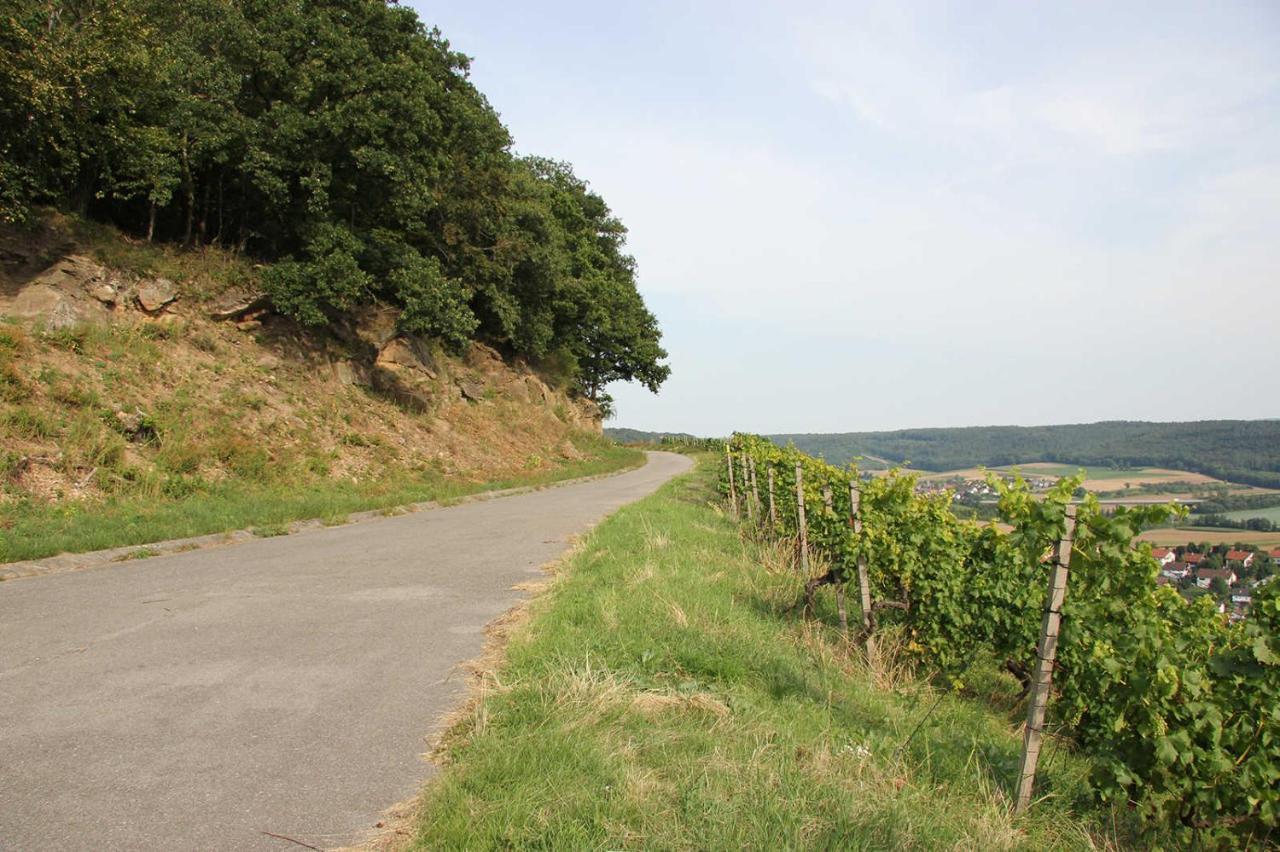 Weinlodge Am Geissberg Appartamento Eberstadt